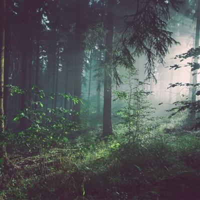 澳门新莆京游戏大厅下载手机版